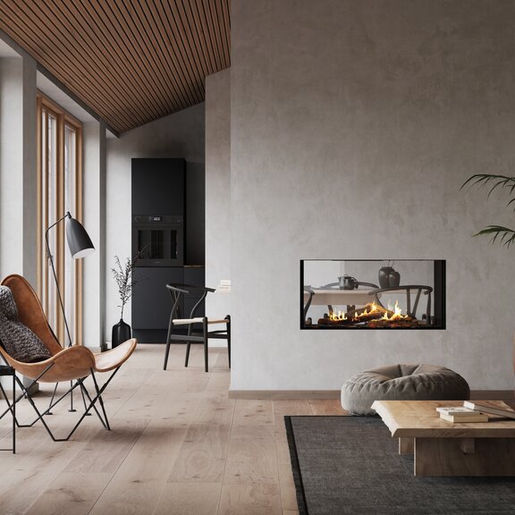 VISIO 100 Tunnel gas fireplace insert with black steel frame separates living room and dining room