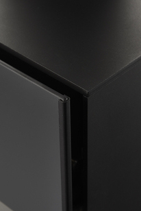 High-quality steel processing of the door High-quality steel processing of the door on the wood stove bionic fire STUDIO